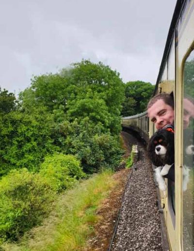 Dog on the Dart Valley Railway steam train