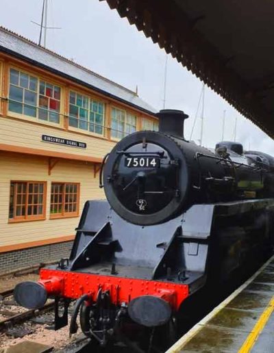 Dart Valley Railway steam train