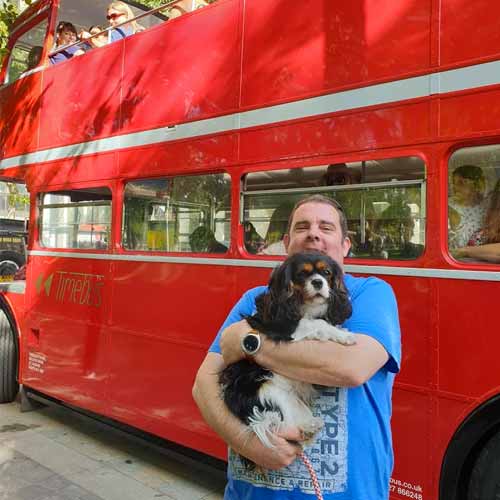 Dog on buses