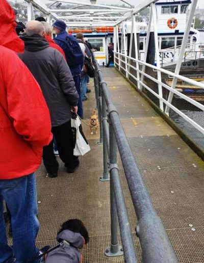 Queuing for Kingwear - Dartmouth ferry