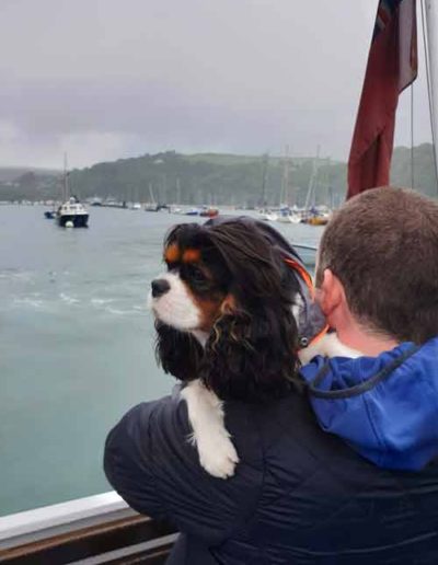 Dog on the Kingwear - Dartmouth ferry
