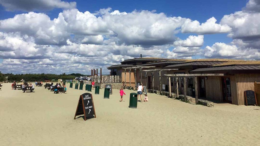 dog-friendly-west-wittering-beach-travelling-ruff