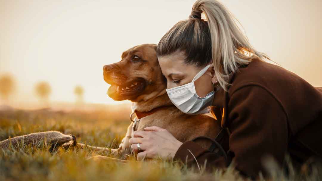 Advice for dog owners during lockdown for Coronavirus COVID-19 pandemic